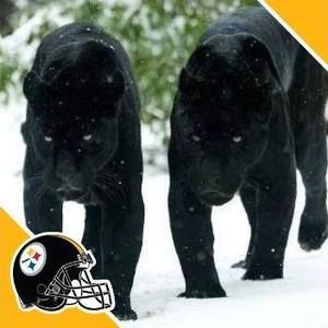 Meet your Posher, Keith